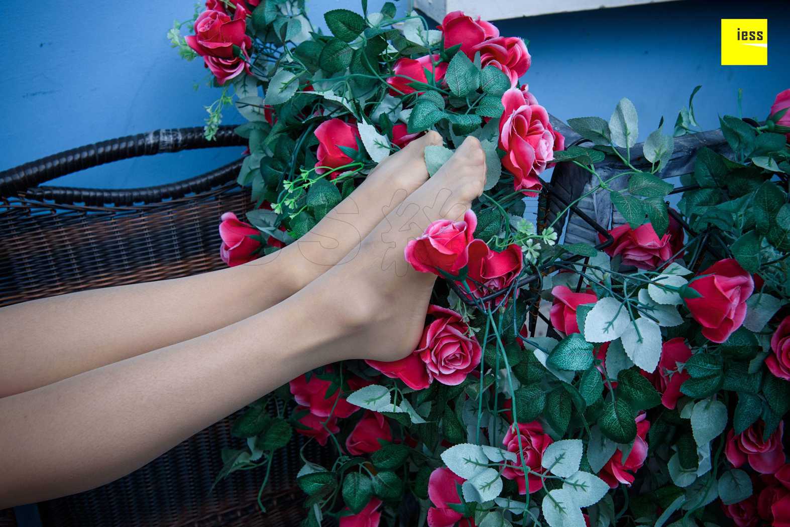 图片[60]-[IESS异思趣向] 2018.02.01 丝享家161：《玫瑰与肉丝》婉萍 在线浏览 – 速更版-美库