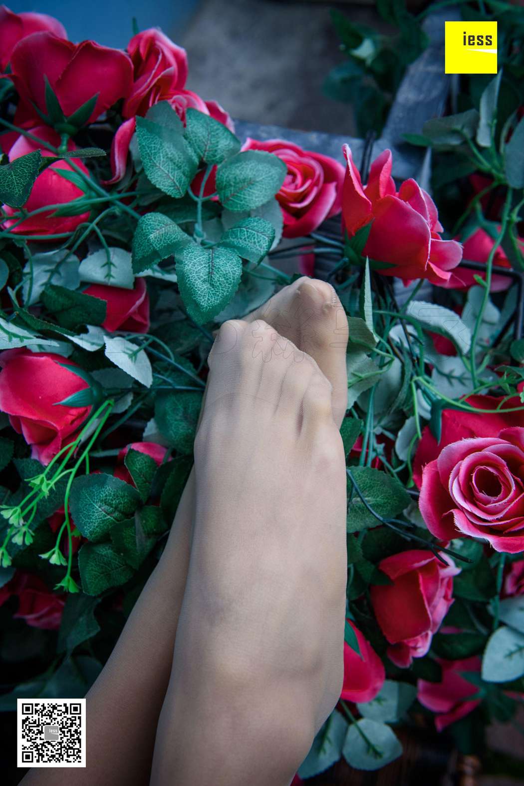 图片[31]-[IESS异思趣向] 2018.02.01 丝享家161：《玫瑰与肉丝》婉萍 在线浏览 – 速更版-美库