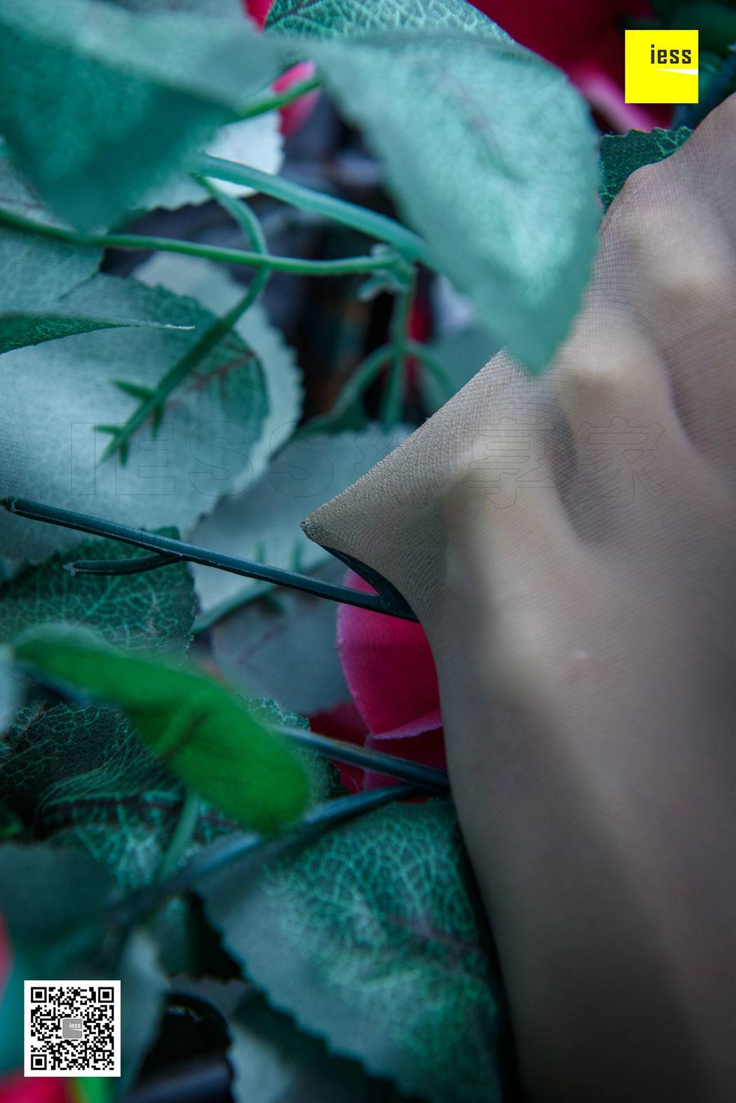 图片[41]-[IESS异思趣向] 2018.02.01 丝享家161：《玫瑰与肉丝》婉萍 在线浏览 – 速更版-美库