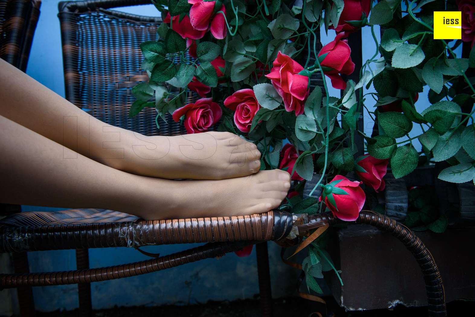 图片[42]-[IESS异思趣向] 2018.02.01 丝享家161：《玫瑰与肉丝》婉萍 在线浏览 – 速更版-美库