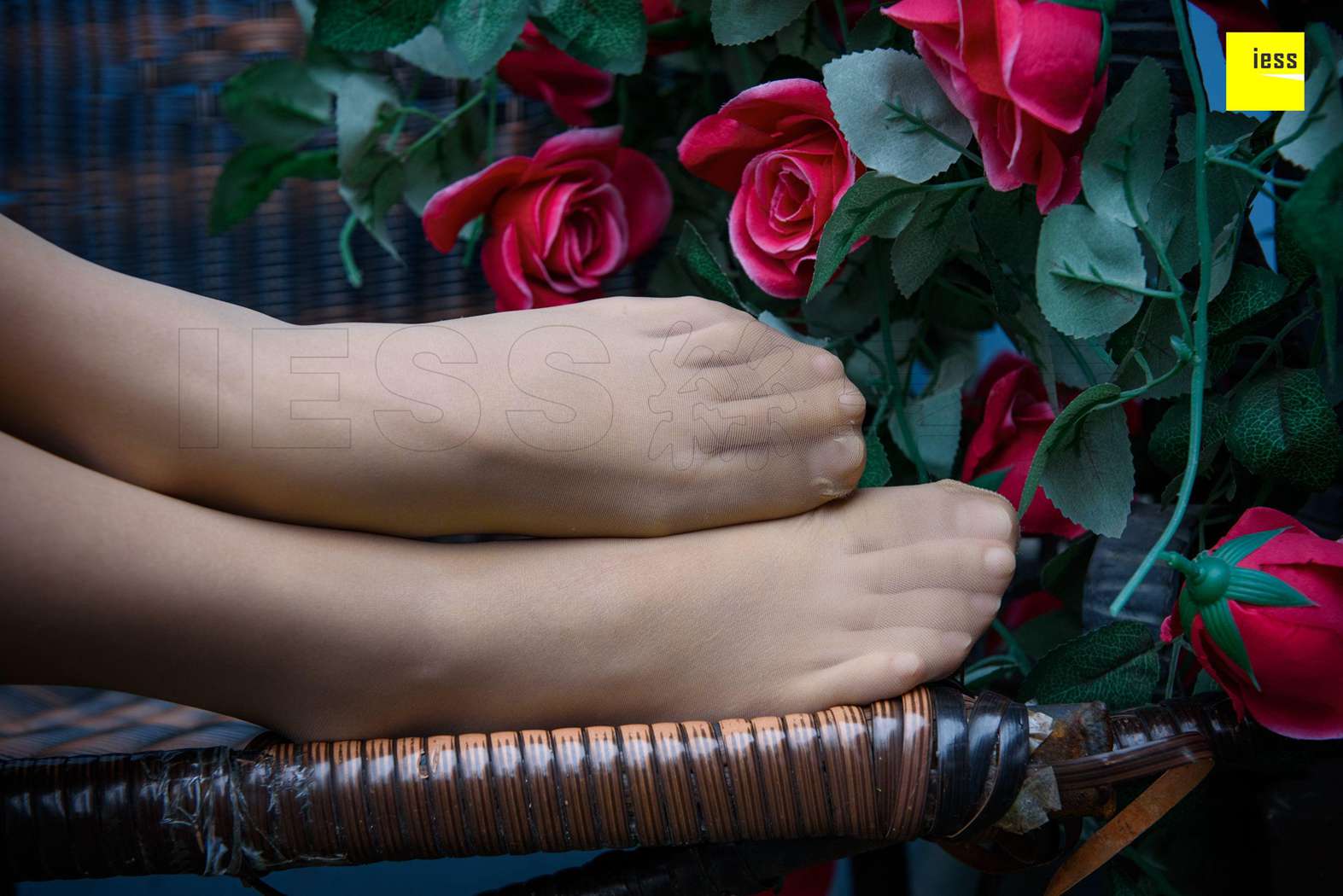 图片[17]-[IESS异思趣向] 2018.02.01 丝享家161：《玫瑰与肉丝》婉萍 在线浏览 – 速更版-美库