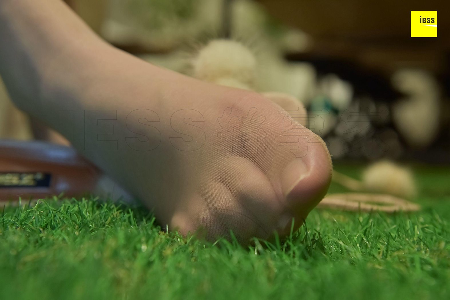 图片[79]-[IESS异思趣向] 2018.02.18 丝享家171：文欣《萌萌哒毛球肉丝》 在线浏览 – 速更版-美库