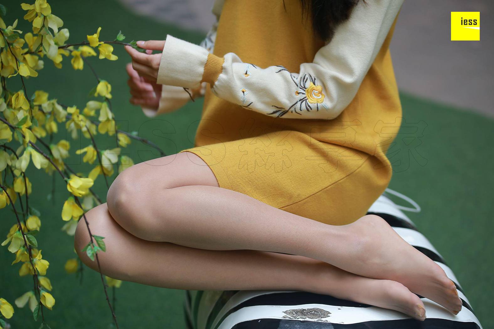 图片[14]-[IESS异思趣向] 2018.02.20 丝享家173：婉萍《婉萍街拍肉丝》在线浏览 – 速更版-美库