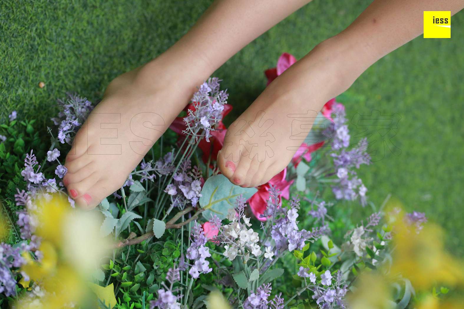 图片[26]-[IESS异思趣向] 2018.03.29 丝享家200：《面试小秘书》晶晶 在线浏览 – 速更版-美库