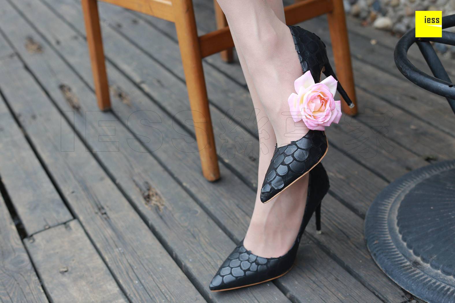 图片[79]-[ESS异思趣向] 2018.04.19 丝享家214：《御姐双玩花弄枝》双双 在线浏览 – 速更版-美库