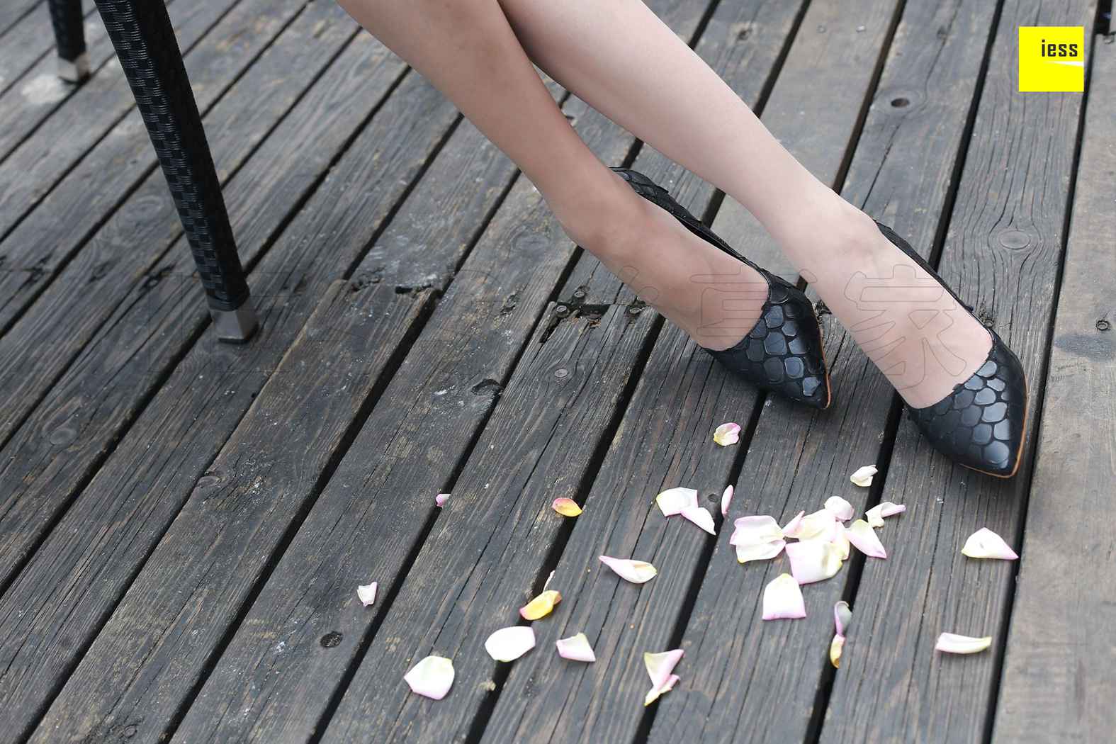 图片[14]-[ESS异思趣向] 2018.04.19 丝享家214：《御姐双玩花弄枝》双双 在线浏览 – 速更版-美库