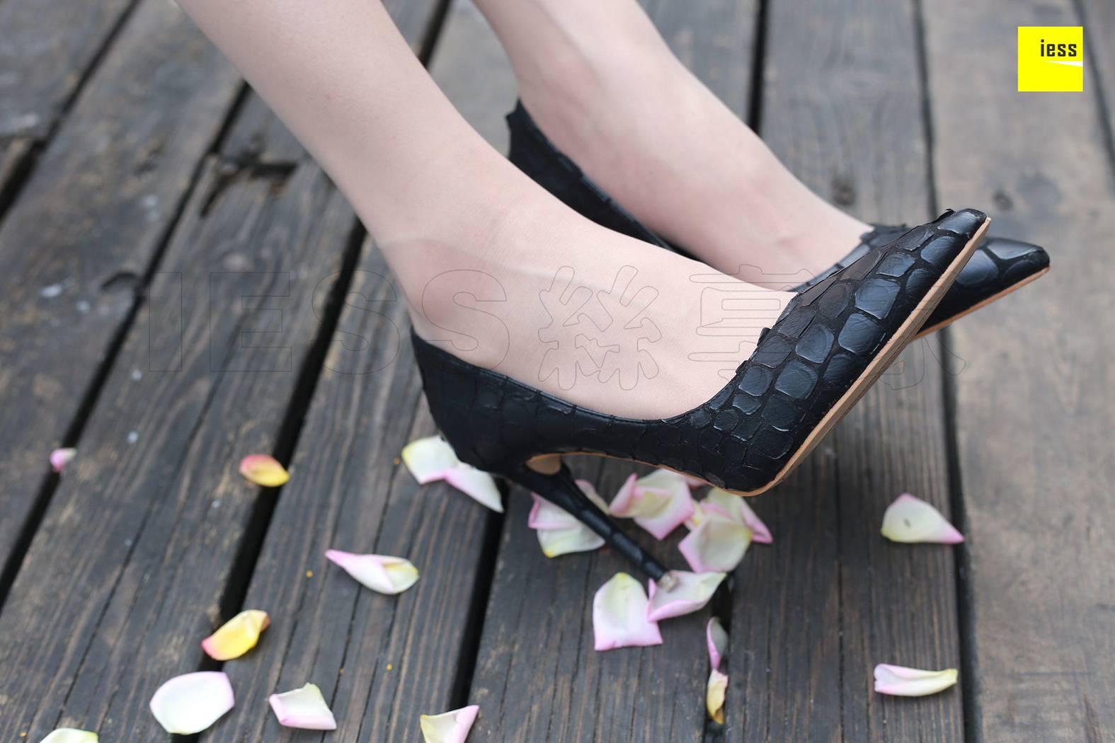 图片[39]-[ESS异思趣向] 2018.04.19 丝享家214：《御姐双玩花弄枝》双双 在线浏览 – 速更版-美库