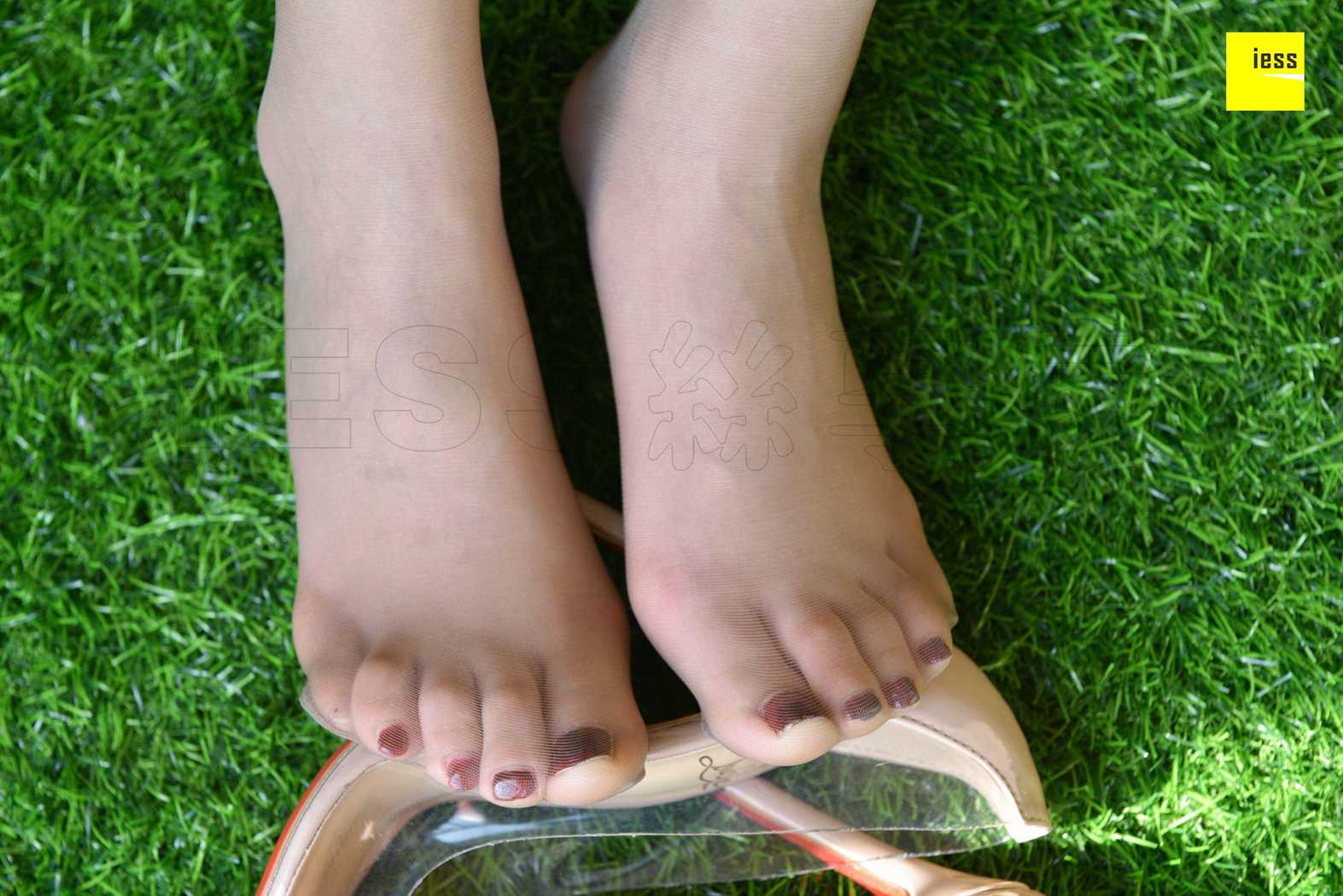 图片[48]-[IESS异思趣向] 2018.05.04 丝享家225：《咖啡丝的光合作用》七七 在线浏览 – 速更版-美库