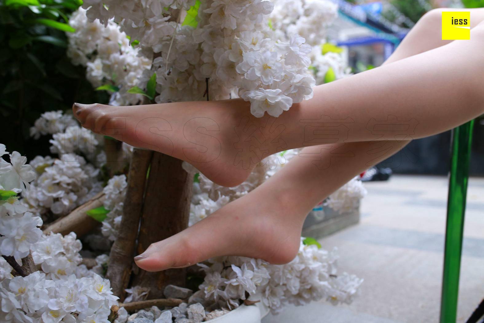 图片[27]-[IESS异思趣向] 2018.05.18 丝享家235：《肤白貌美嫩脚趾》紫紫 在线浏览 – 速更版-美库