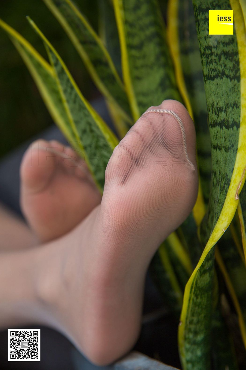 图片[91]-[IESS异思趣向] 2018.07.02 丝享家265：《婉萍小仙女肉丝》婉萍 在线浏览 – 速更版-美库