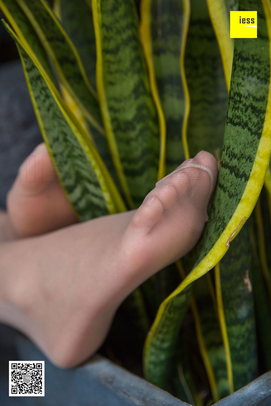 图片[93]-[IESS异思趣向] 2018.07.02 丝享家265：《婉萍小仙女肉丝》婉萍 在线浏览 – 速更版-美库