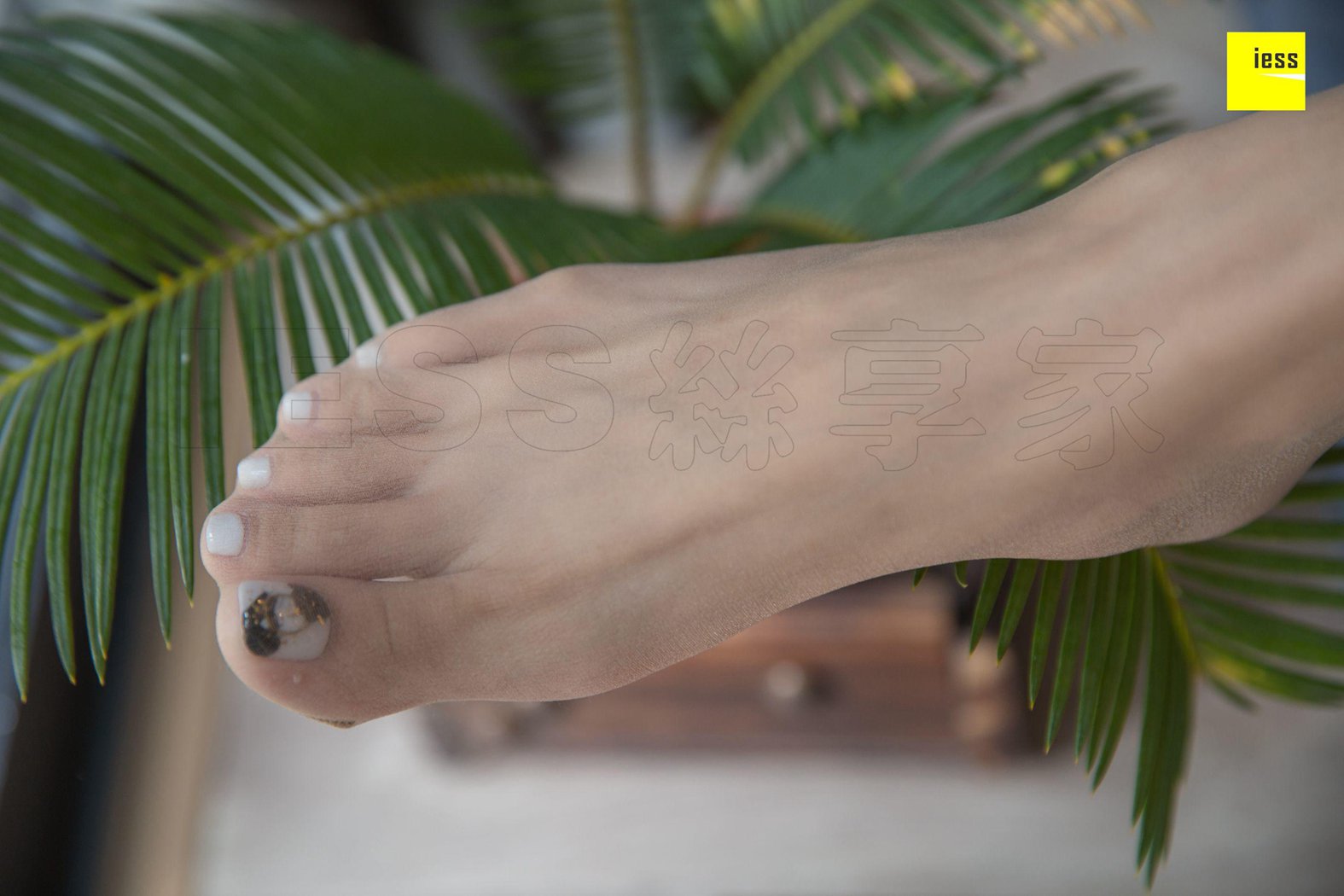 图片[42]-[IESS异思趣向] 2018.10.24 丝享家344：《辣妈热裤凉拖》辣妈（君君） 在线浏览 – 速更版-美库