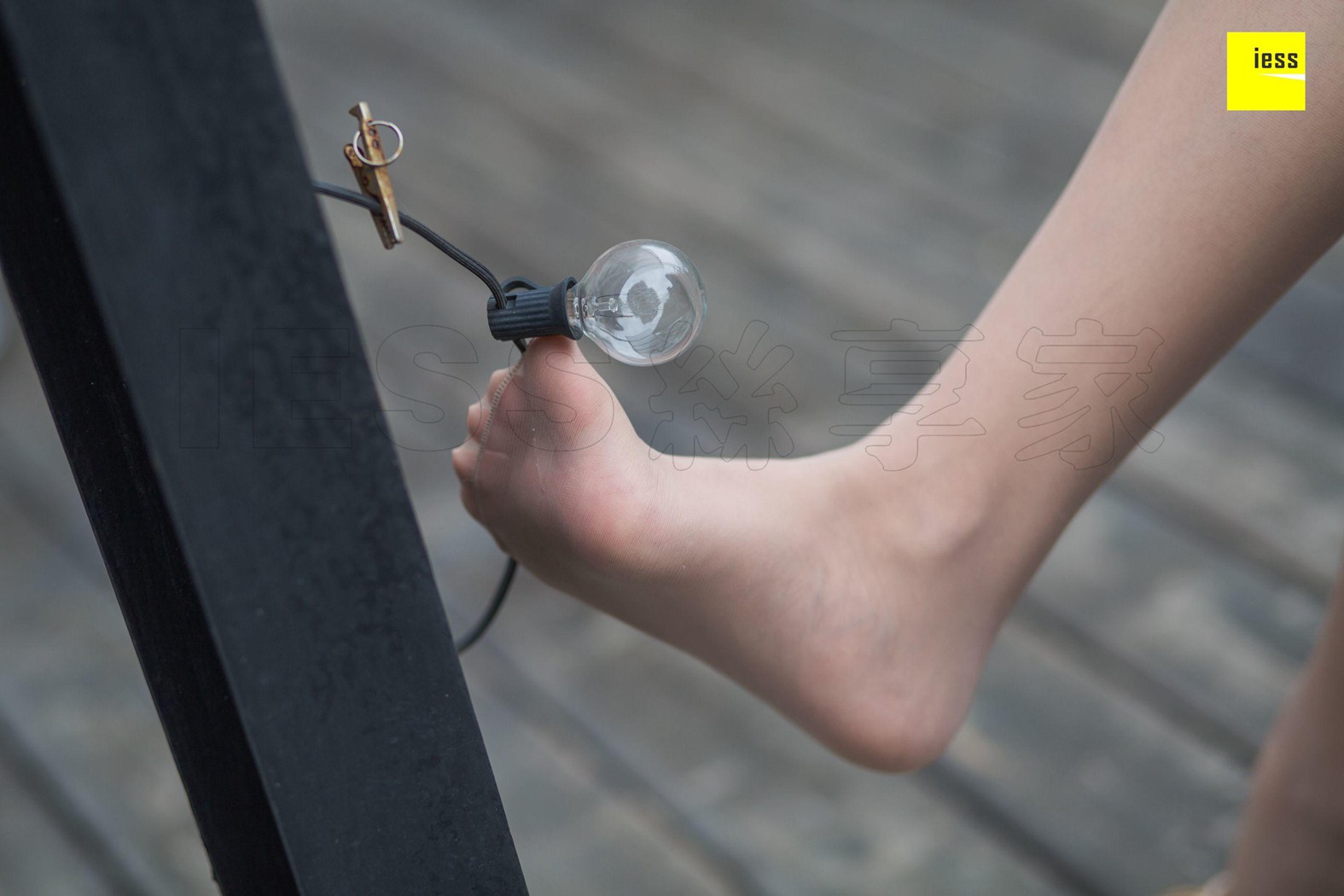 图片[58]-[IESS异思趣向] 2018.11.29 丝享家370：《婉萍的多肉花园》婉萍 在线浏览 – 速更版-美库