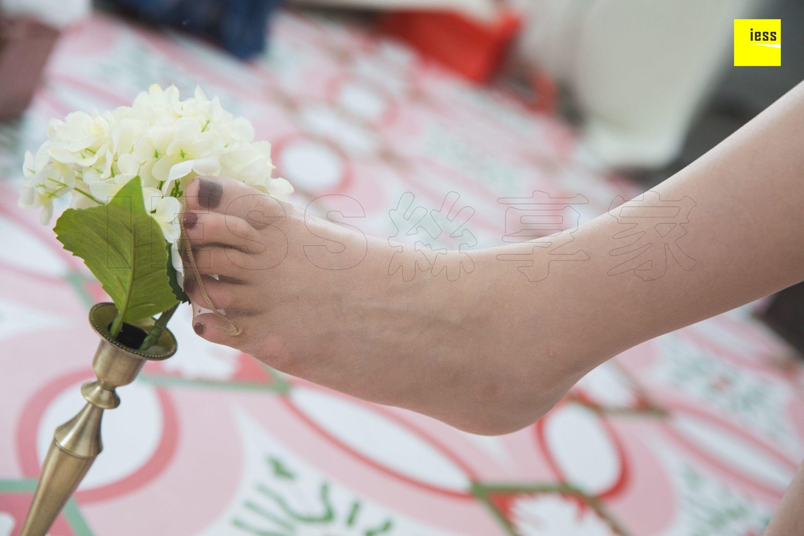 图片[62]-[IESS异思趣向] 2018.12.19 丝享家384：《九妹粉嫩小兔几》九妹 在线浏览 – 速更版-美库