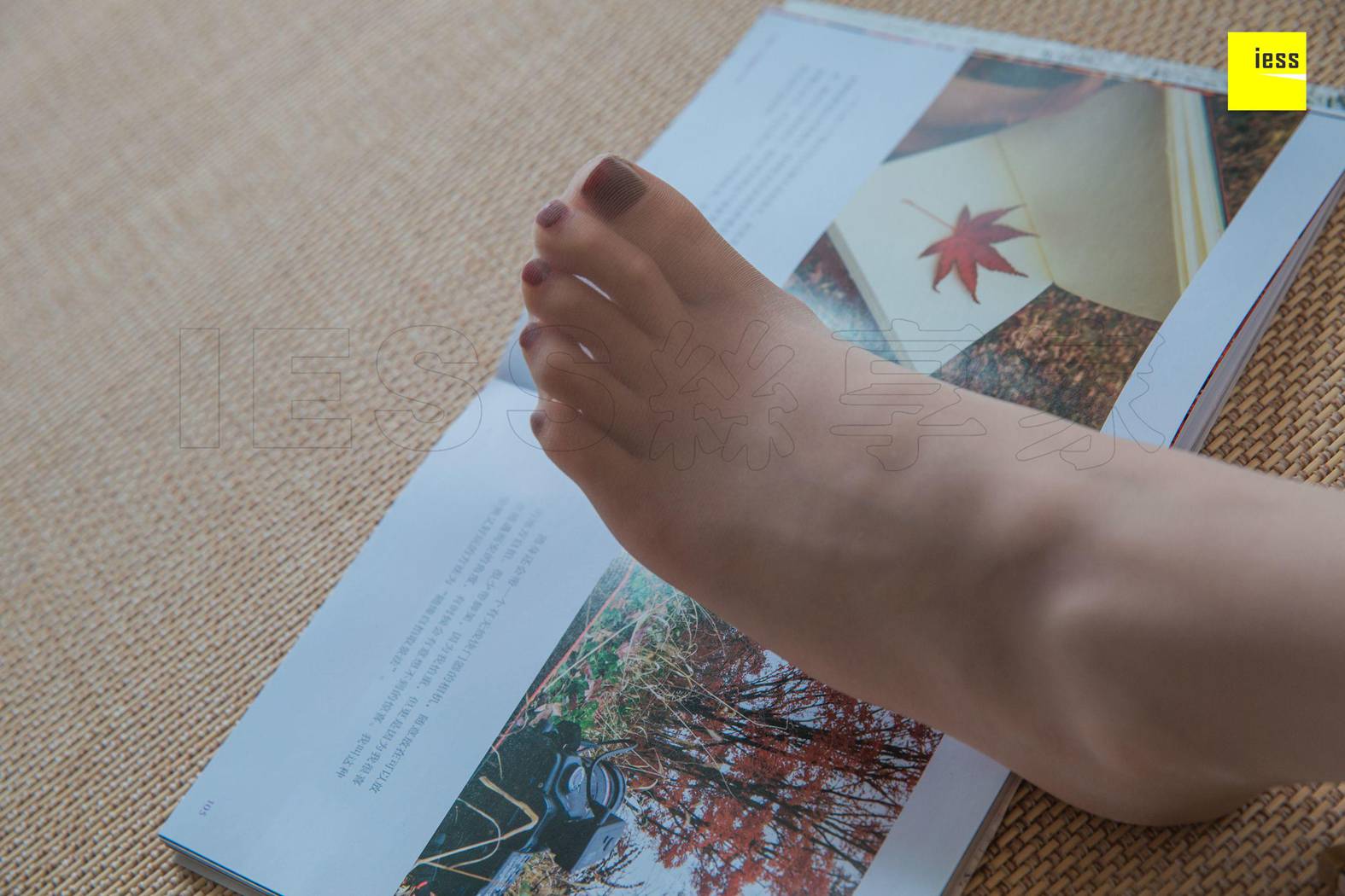 图片[26]-[IESS异思趣向] 2019.01.31 丝享家413：《九妹玩自拍》九妹 在线浏览 – 速更版-美库