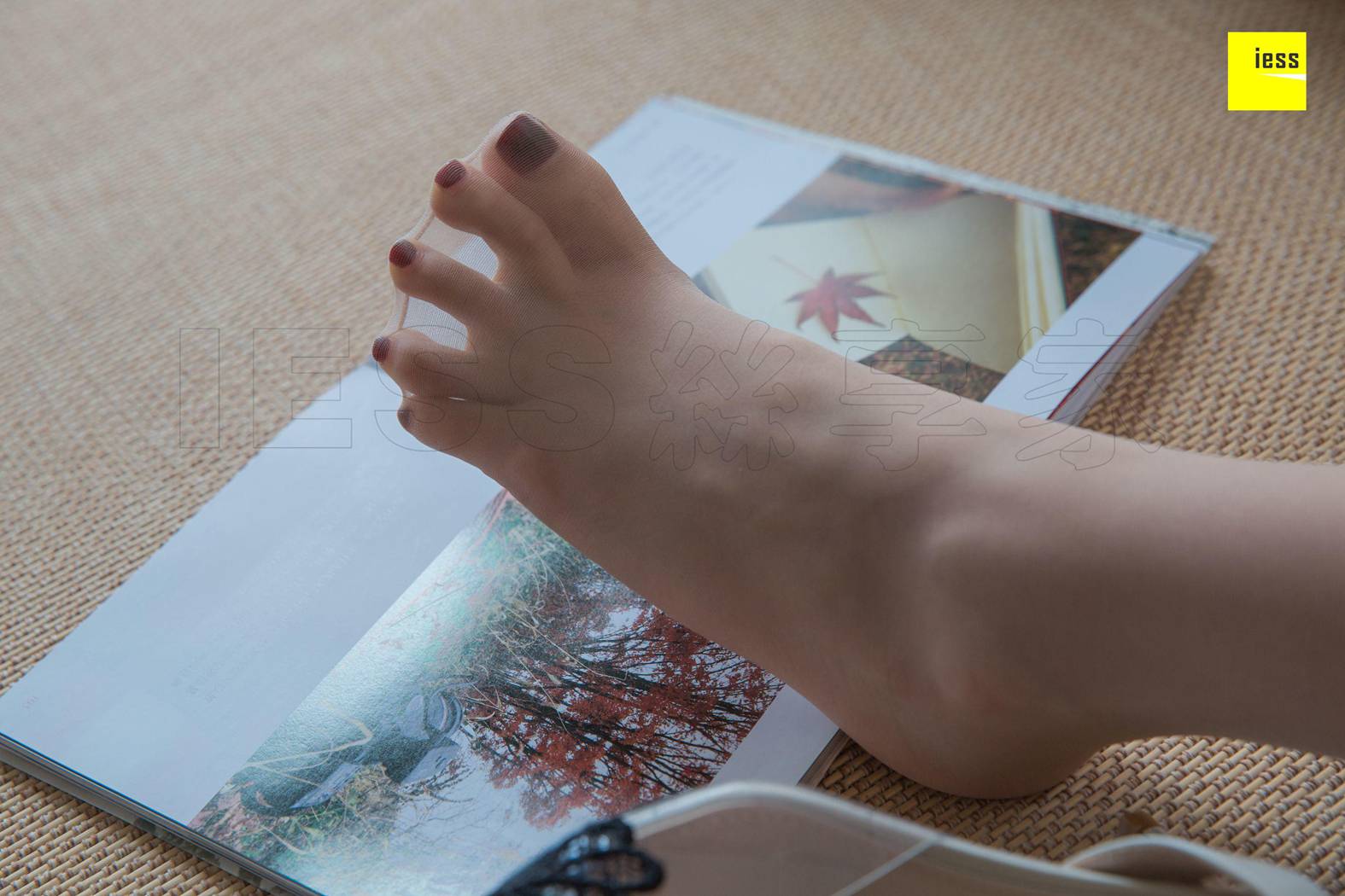 图片[53]-[IESS异思趣向] 2019.01.31 丝享家413：《九妹玩自拍》九妹 在线浏览 – 速更版-美库