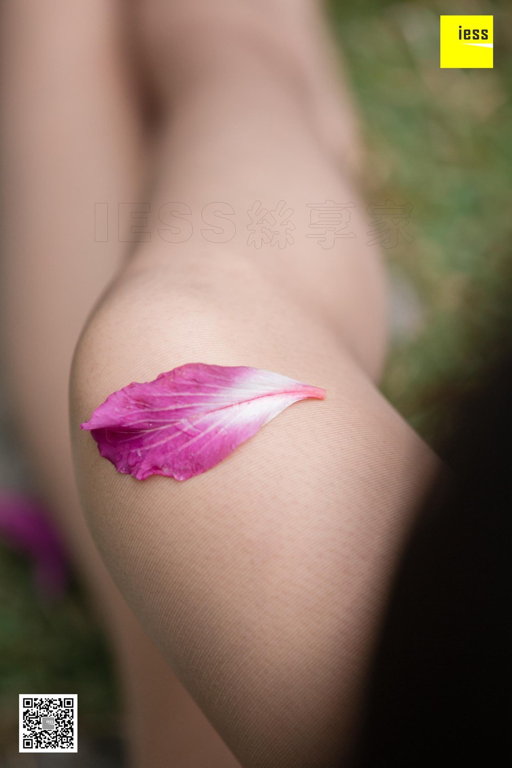 图片[60]-[IESS异思趣向] 2019.02.18 丝享家424：《花丛中的小羽》小羽 在线浏览 – 速更版-美库