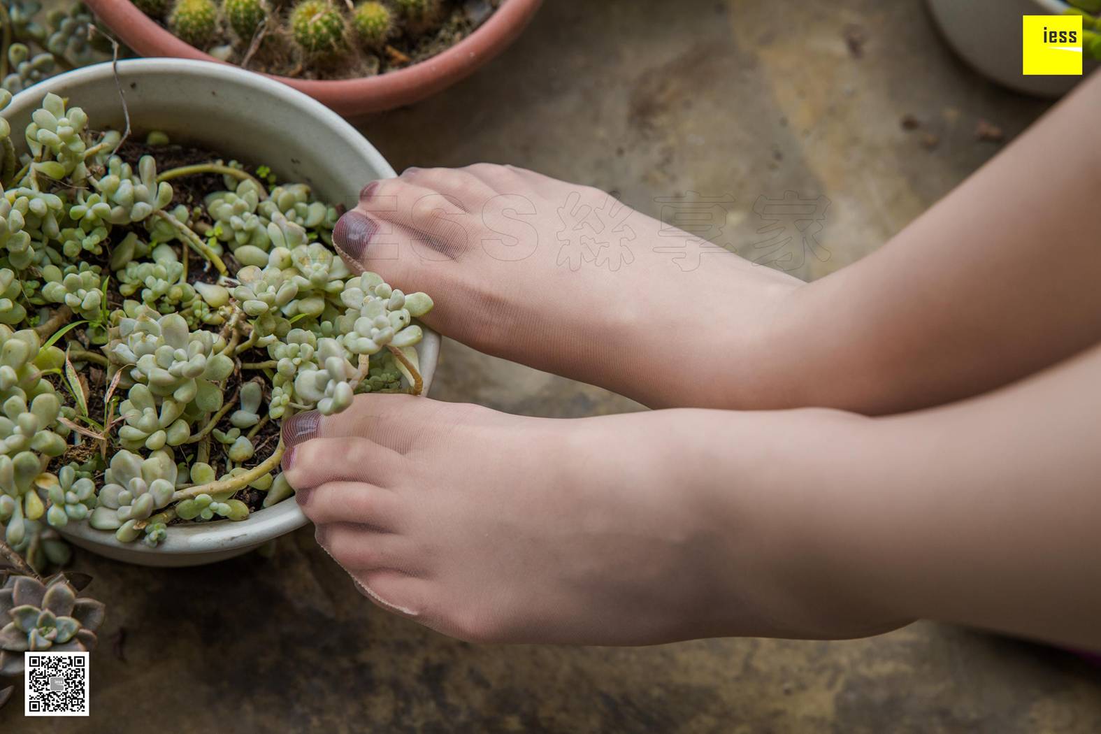 图片[28]-[IESS异思趣向] 2019.03.06 丝享家436：《九妹的粉色旗袍》九妹 在线浏览 – 速更版-美库