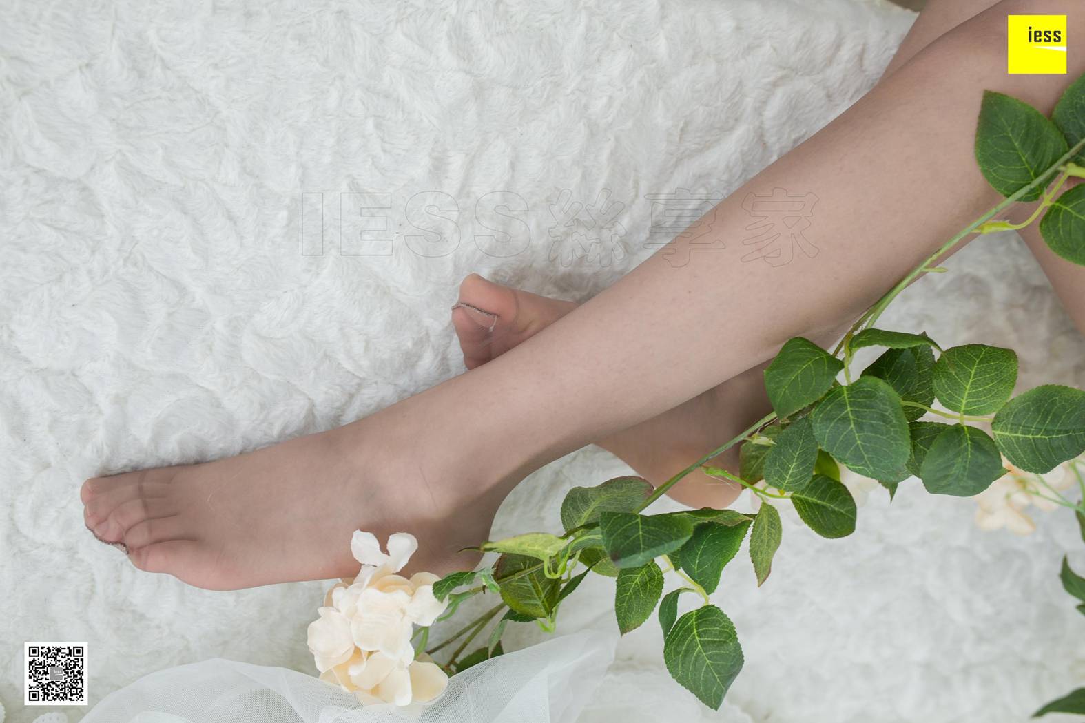 图片[88]-[IESS异思趣向] 2019.03.19 丝享家444：《文欣的蕾丝小裙》文欣 在线浏览 – 速更版-美库