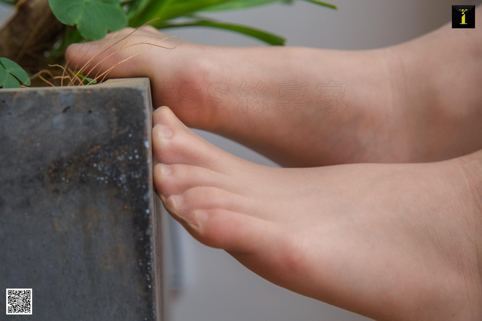 图片[57]-[IESS异思趣向] 2019.05.27 丝享家493：《素人姗姗的雪白肌》姗姗 在线浏览 – 速更版-美库