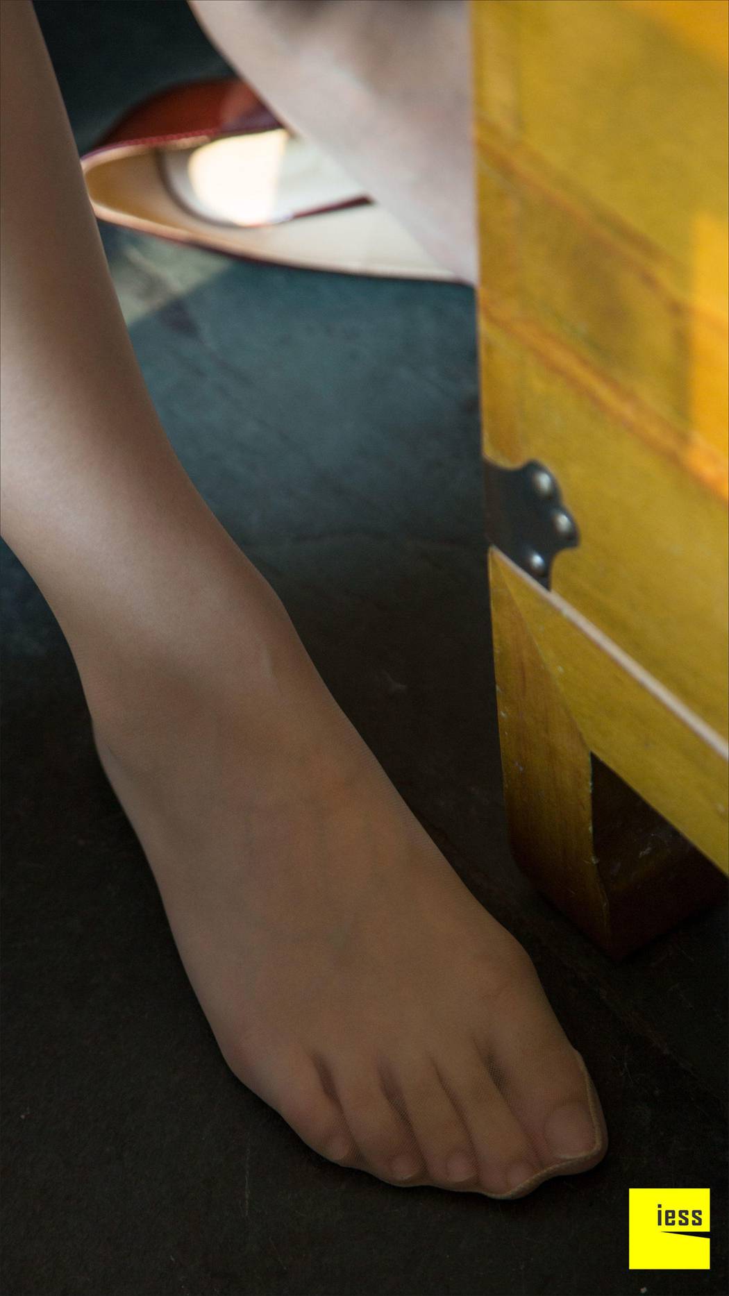 图片[19]-[IESS异思趣向] 2016.09.14 丝足便当001：iess王牌丝足女主播 莎莎 在线浏览 – 速更版-美库