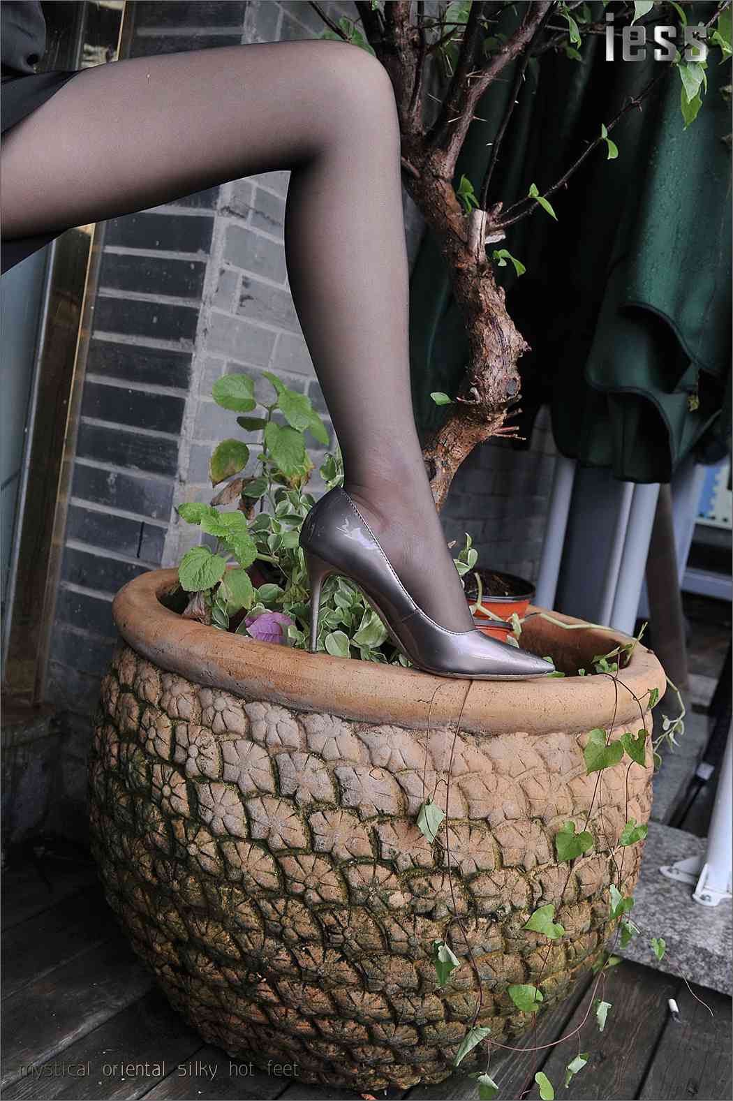 图片[22]-[IESS异思趣向] 2016.11.09 丝足便当029：《OL制服黑丝》小雪 在线浏览 – 速更版-美库