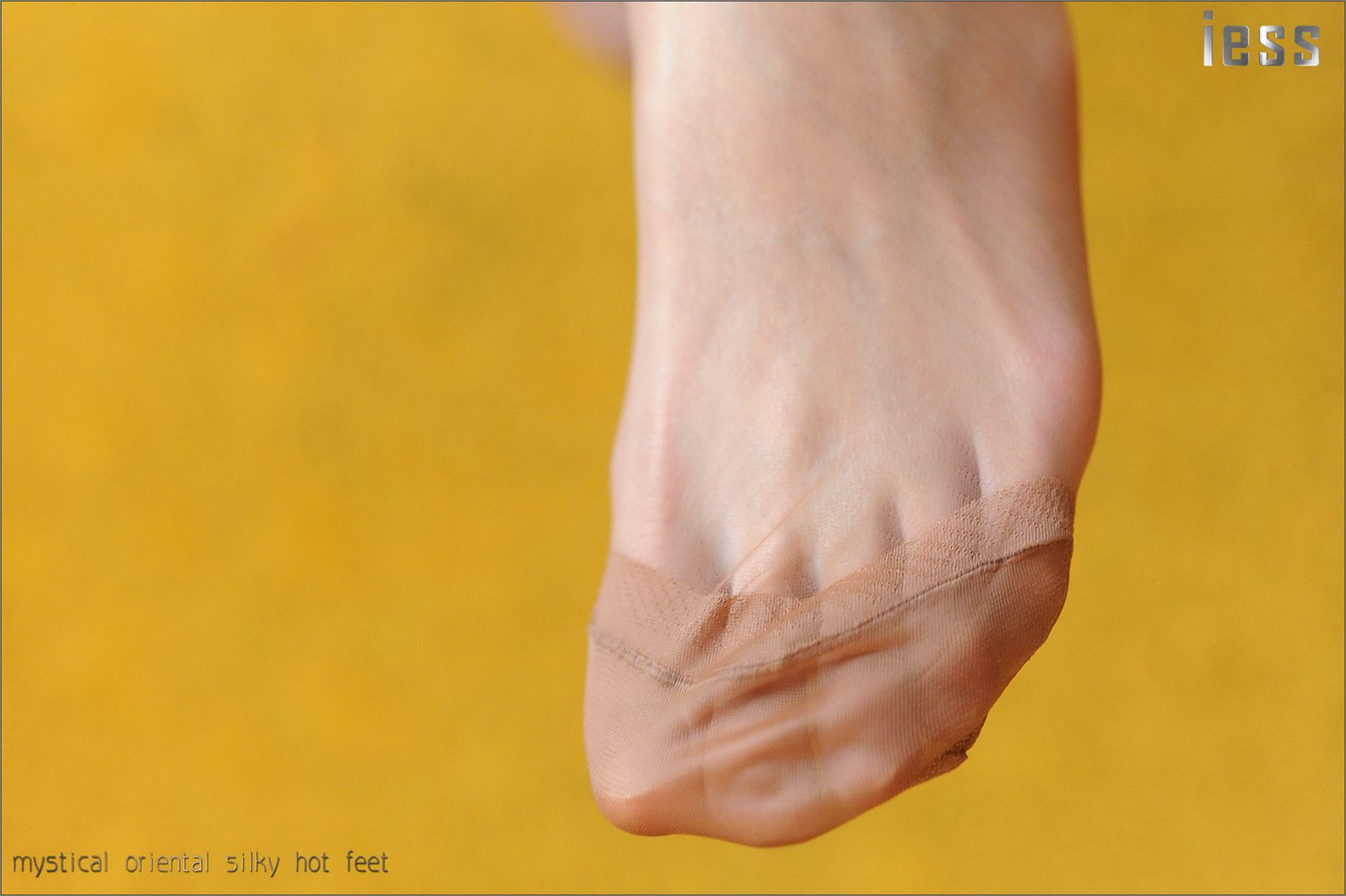 图片[71]-[IESS异思趣向] 2016.11.01 丝足便当027：《ES8复古无弹力丝袜细节秀I》含菲 在线浏览 – 速更版-美库