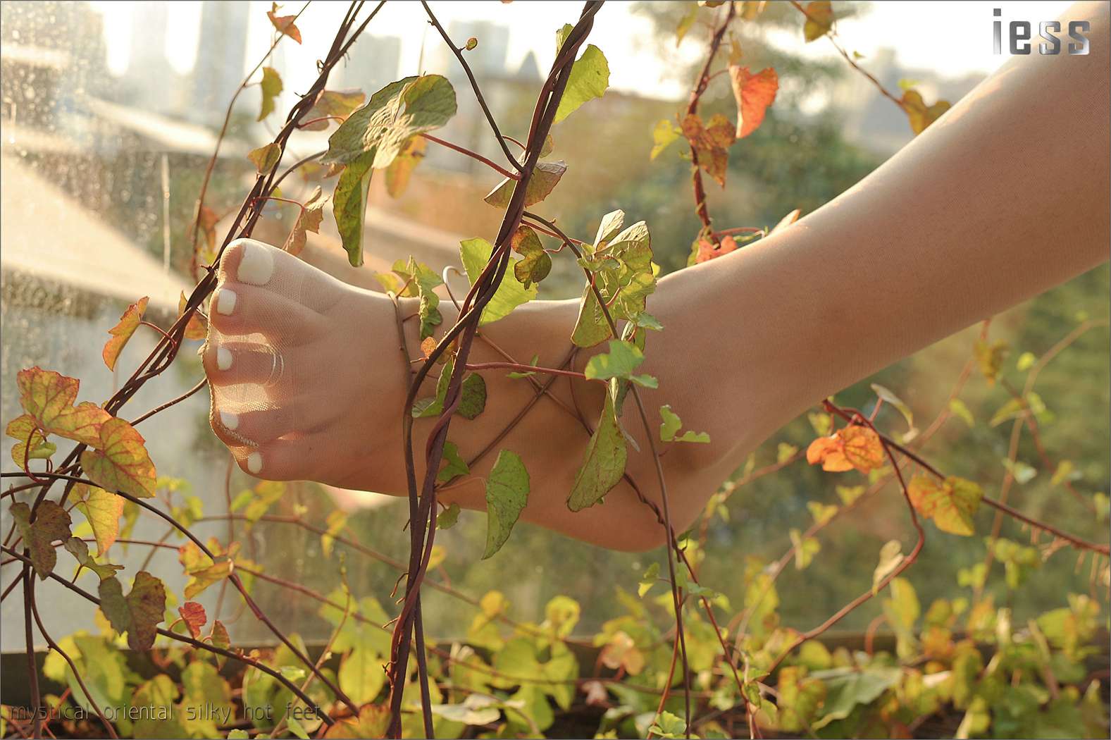 图片[55]-[IESS异思趣向] 2016.10.13 丝足便当016：《阳光下的罂粟花》SASA 在线浏览 – 速更版-美库