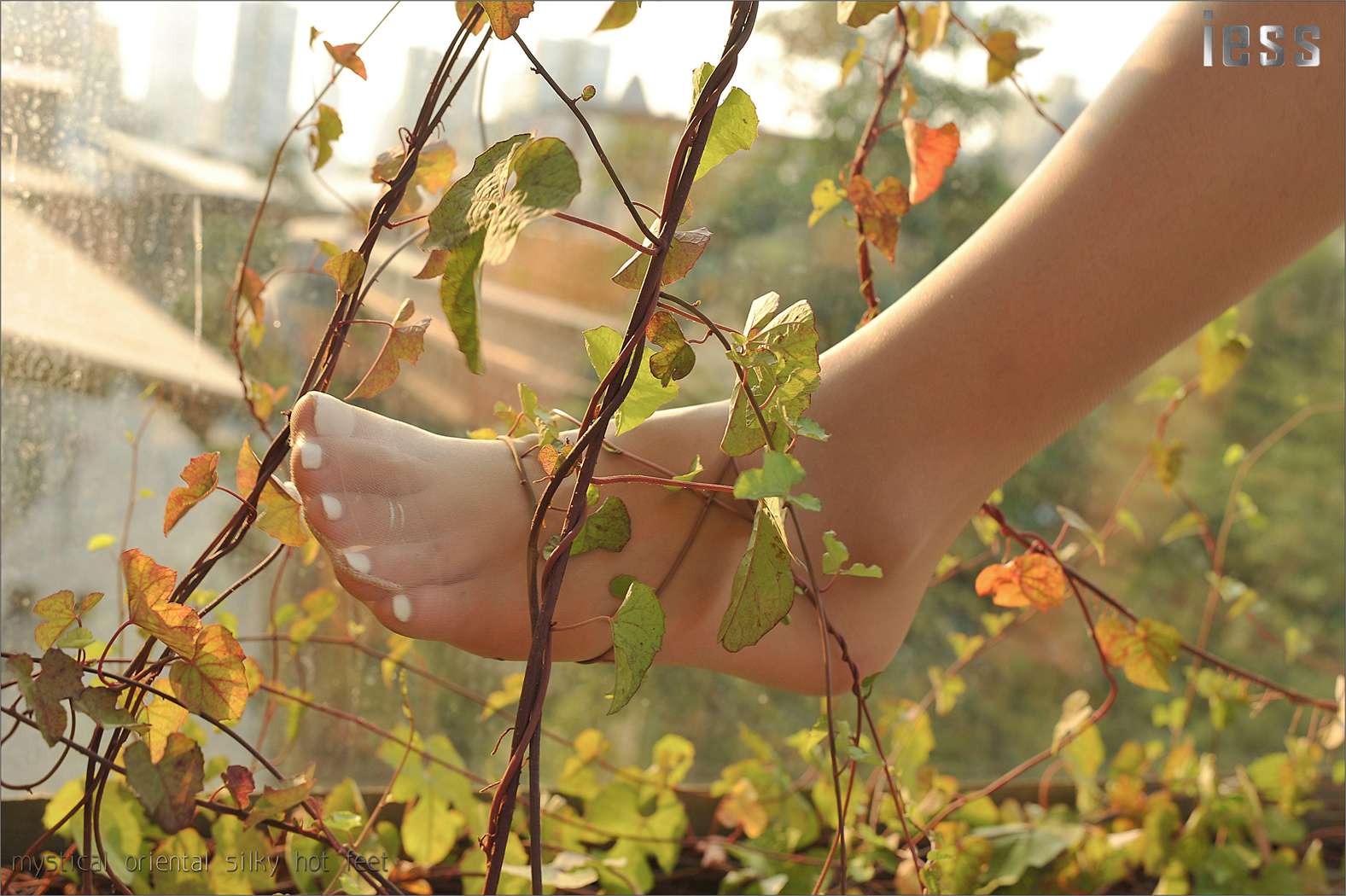 图片[82]-[IESS异思趣向] 2016.10.13 丝足便当016：《阳光下的罂粟花》SASA 在线浏览 – 速更版-美库