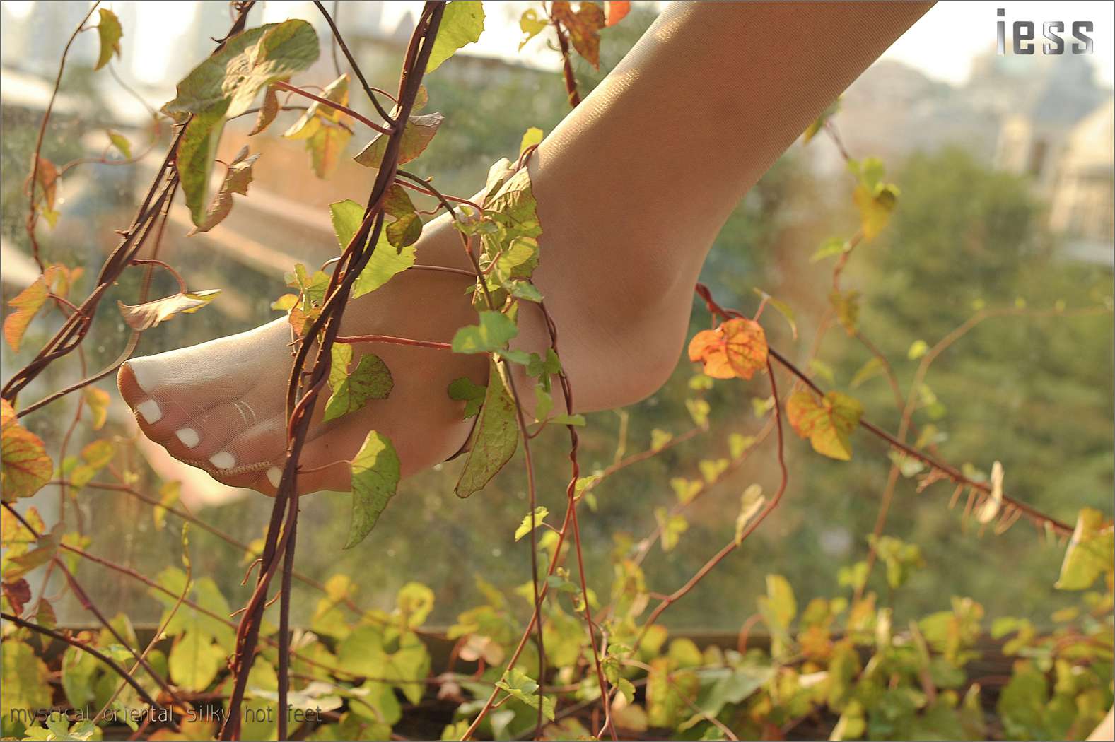 图片[19]-[IESS异思趣向] 2016.10.13 丝足便当016：《阳光下的罂粟花》SASA 在线浏览 – 速更版-美库