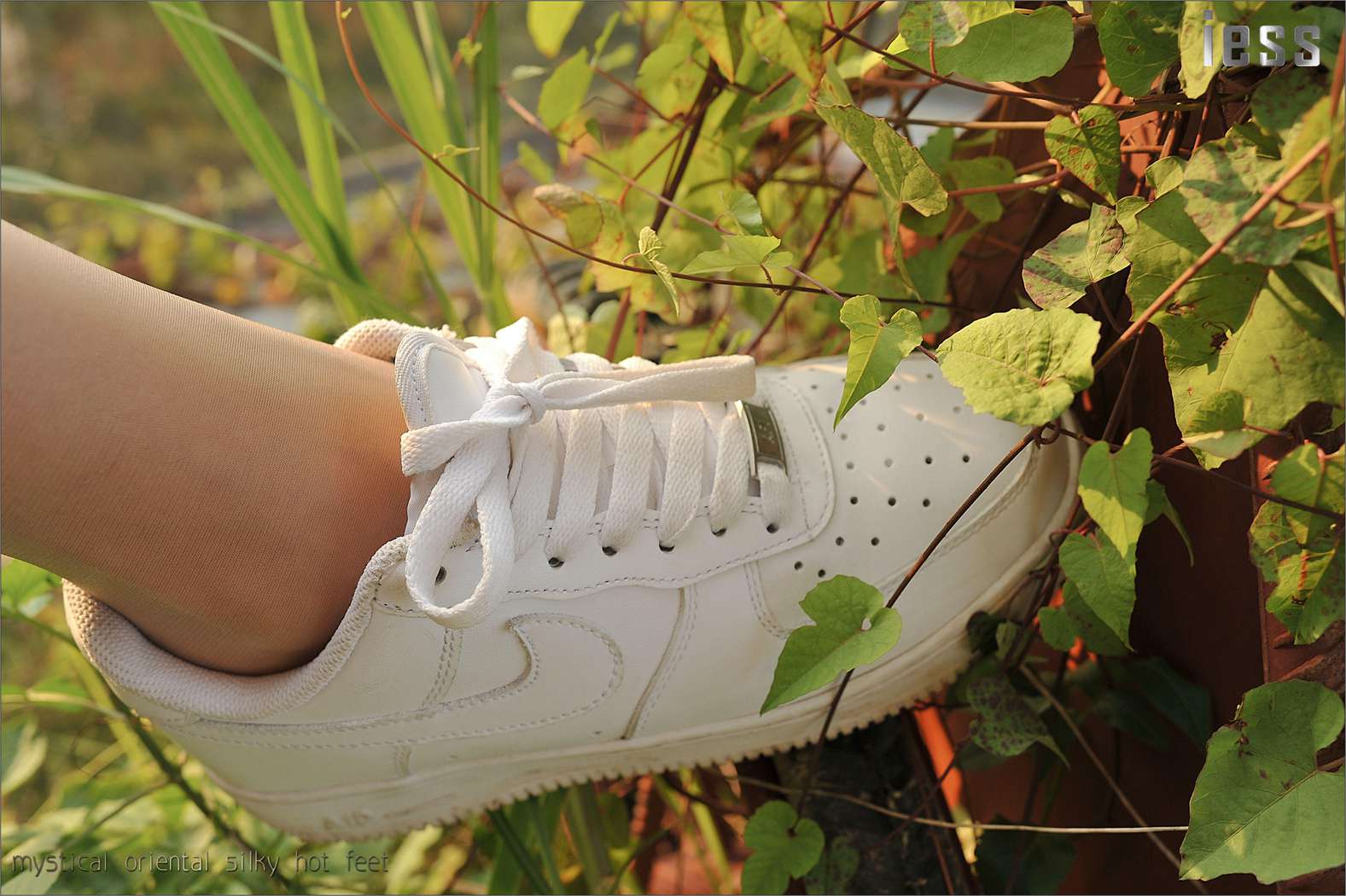 图片[16]-[IESS异思趣向] 2016.10.13 丝足便当016：《阳光下的罂粟花》SASA 在线浏览 – 速更版-美库