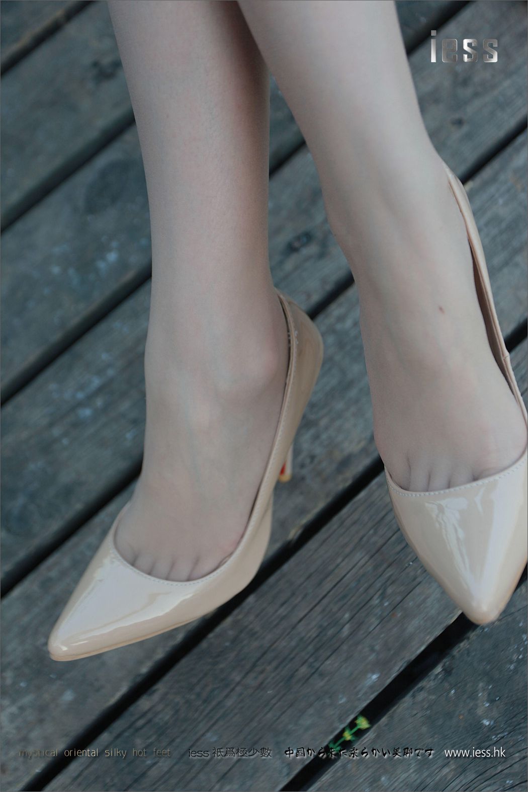 图片[36]-[IESS异思趣向] 2017.02.16 丝足便当075：《佳佳的超透肉丝》佳佳 在线浏览 – 速更版-美库