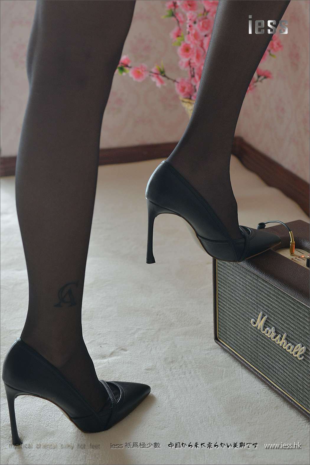 图片[82]-[IESS异思趣向] 2017.03.30 丝足便当095：《黑丝王者》潇潇 在线浏览 – 速更版-美库
