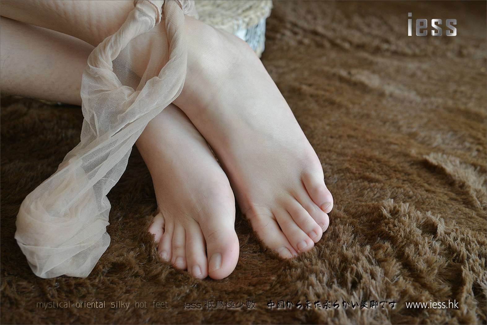 图片[24]-[IESS异思趣向] 2017.04.20 丝足便当105：《我的女同事2》小夕 在线浏览 – 速更版-美库