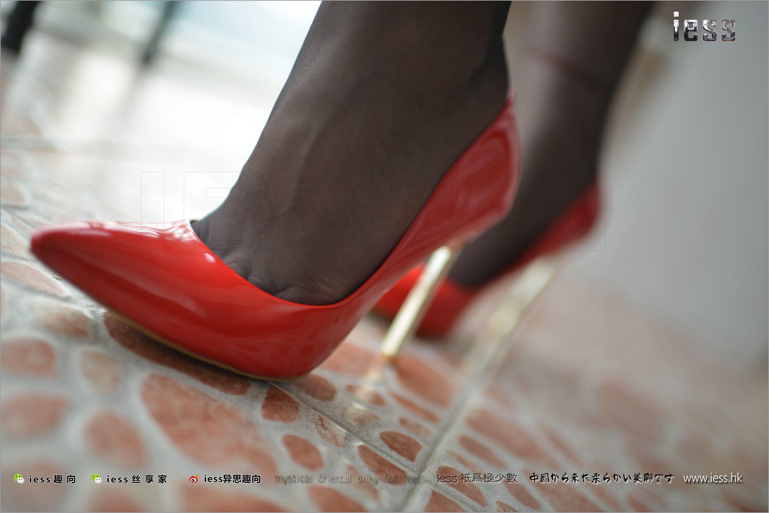 图片[7]-[IESS异思趣向] 2017.09.03 丝足便当147：《红高、黑丝和红套裙》妃妃 在线浏览 – 速更版-美库