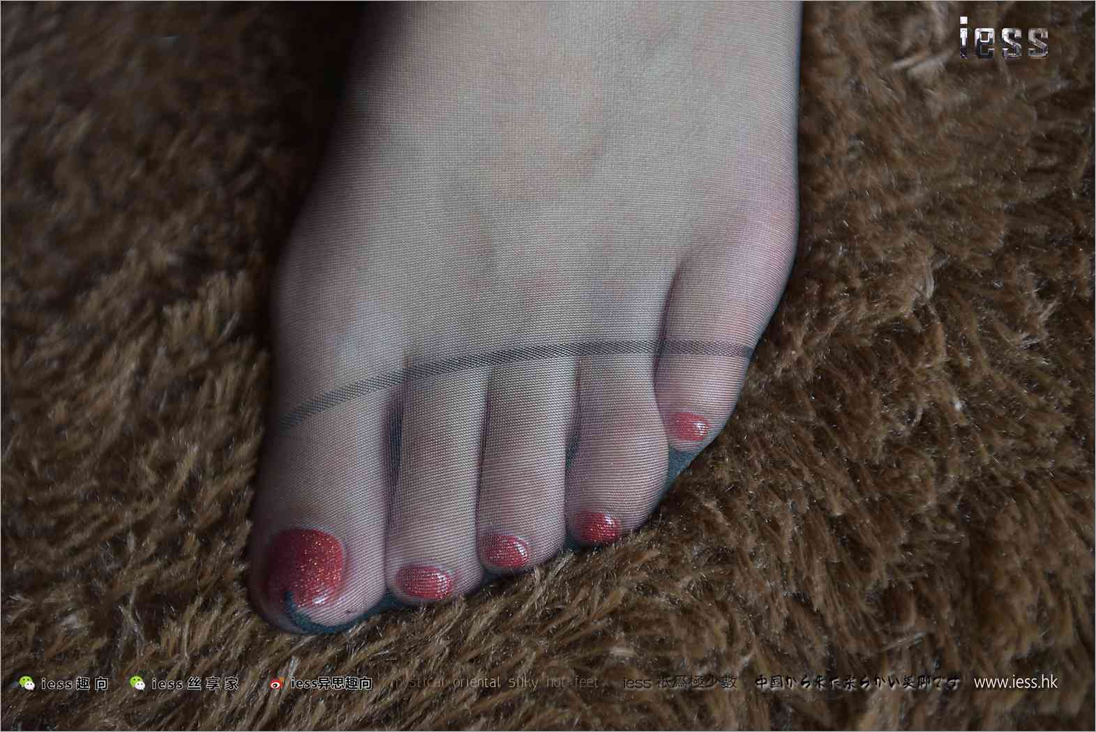 图片[48]-[IESS异思趣向] 2017.09.23 丝足便当156：《老司机的黑丝秀足》珊珊 在线浏览 – 速更版-美库