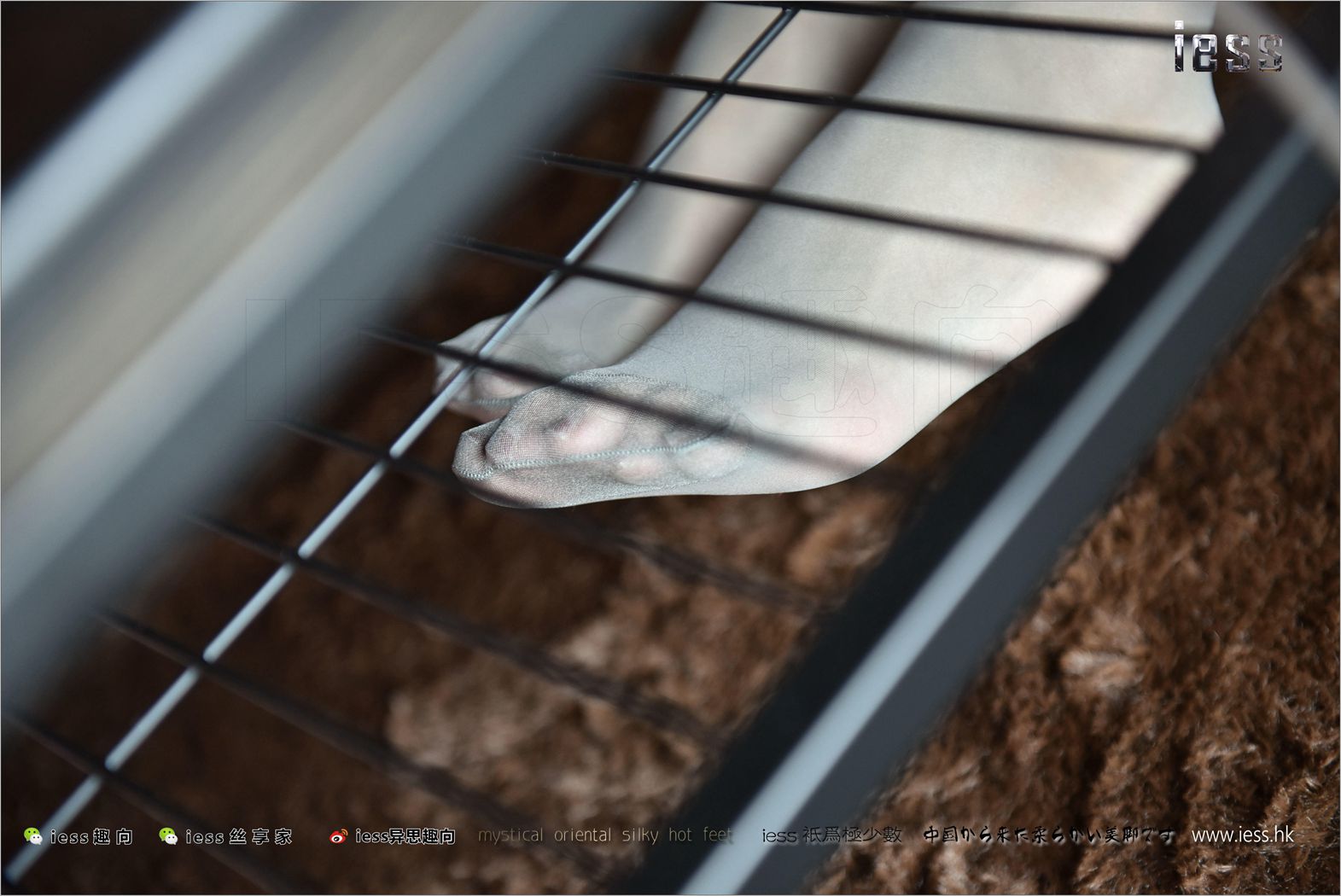 图片[89]-[IESS异思趣向] 2017.11.15 丝足便当169：《做客（厚灰丝）》薇薇 在线浏览 – 速更版-美库