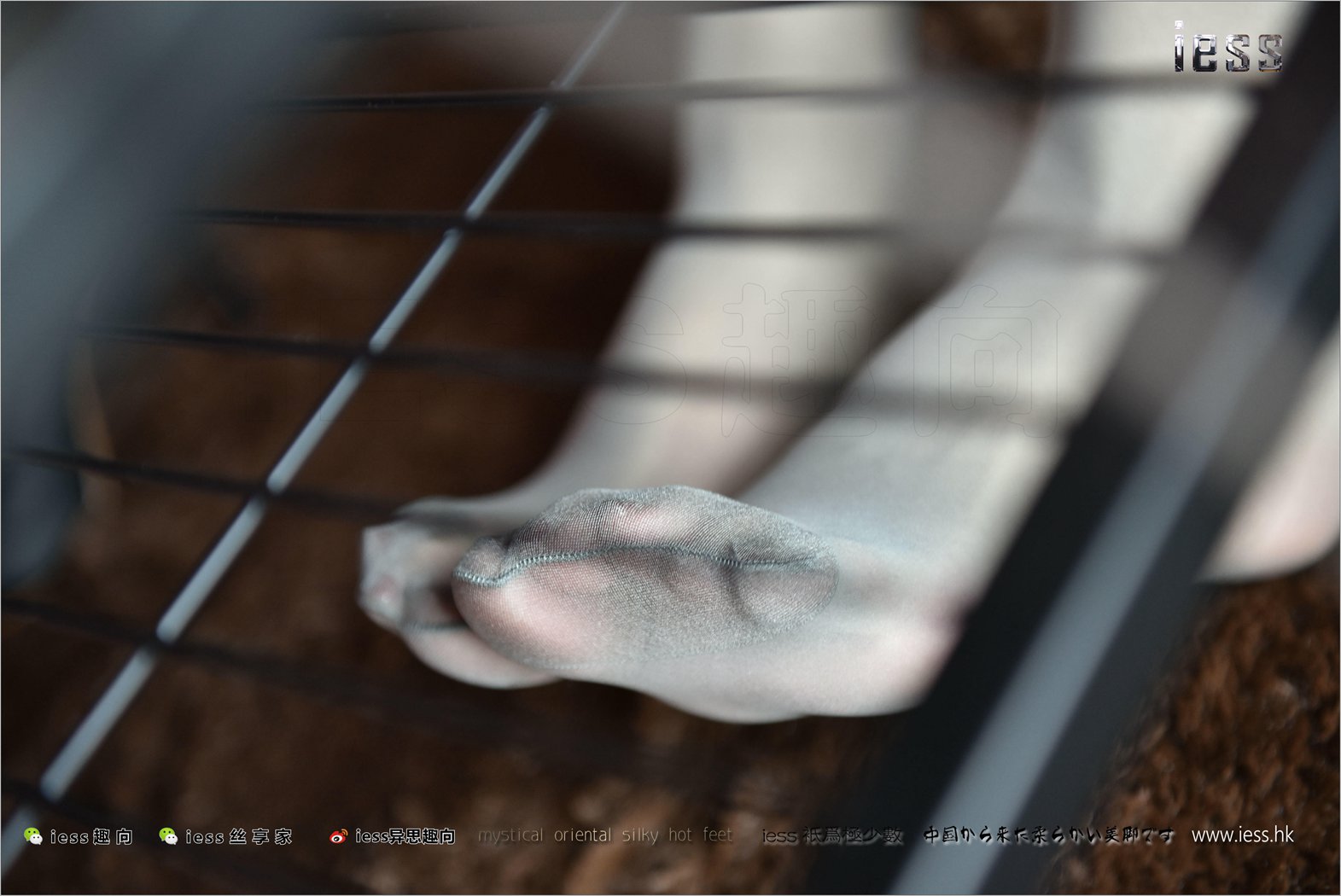 图片[21]-[IESS异思趣向] 2017.11.15 丝足便当169：《做客（厚灰丝）》薇薇 在线浏览 – 速更版-美库