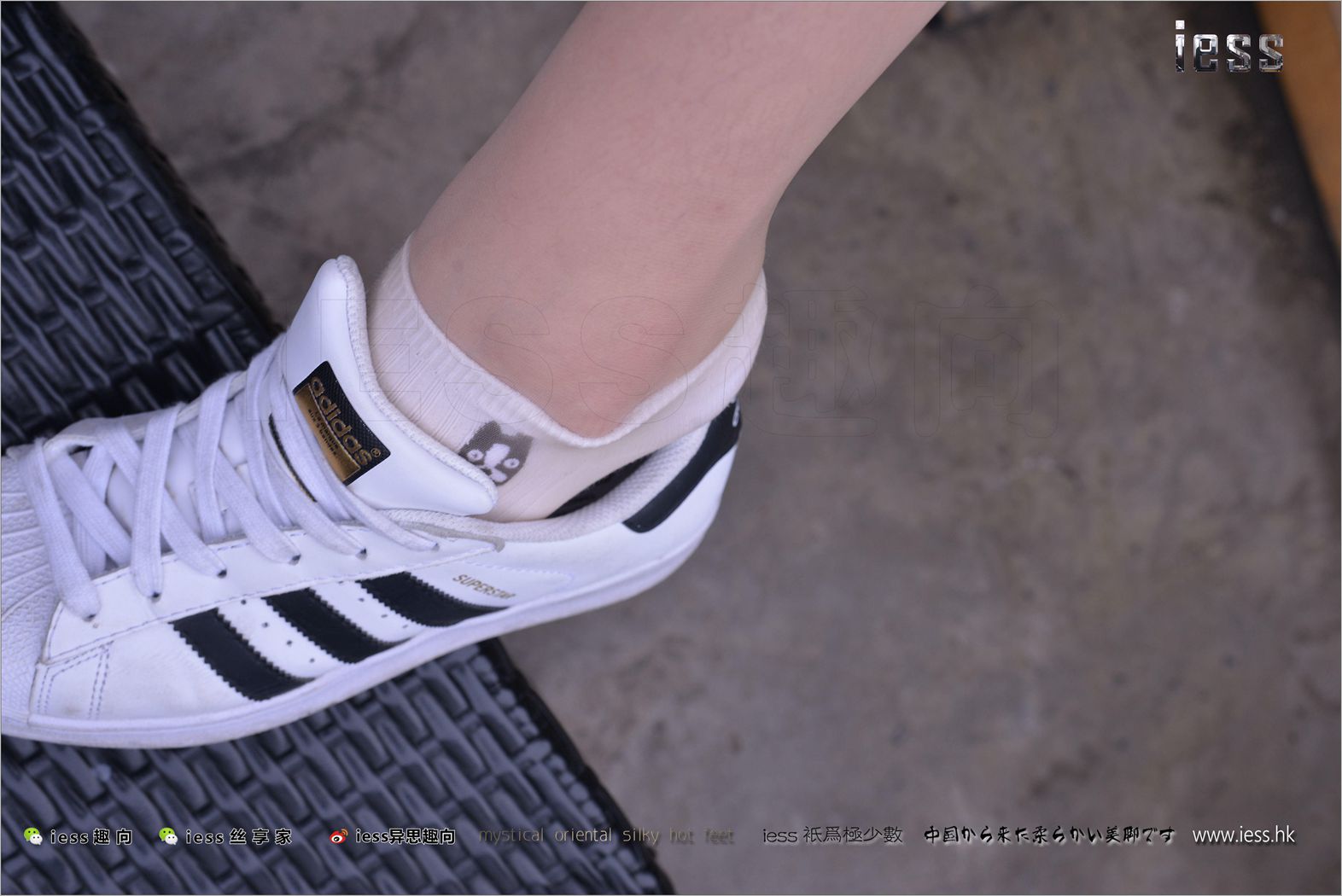 图片[18]-[IESS异思趣向] 2017.11.29 丝足便当172：《丝袜棉袜贝壳头》双十一特辑 圆叔叔 在线浏览 – 速更版-美库