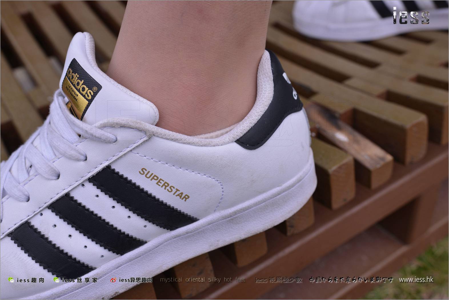 图片[76]-[IESS异思趣向] 2017.11.29 丝足便当172：《丝袜棉袜贝壳头》双十一特辑 圆叔叔 在线浏览 – 速更版-美库