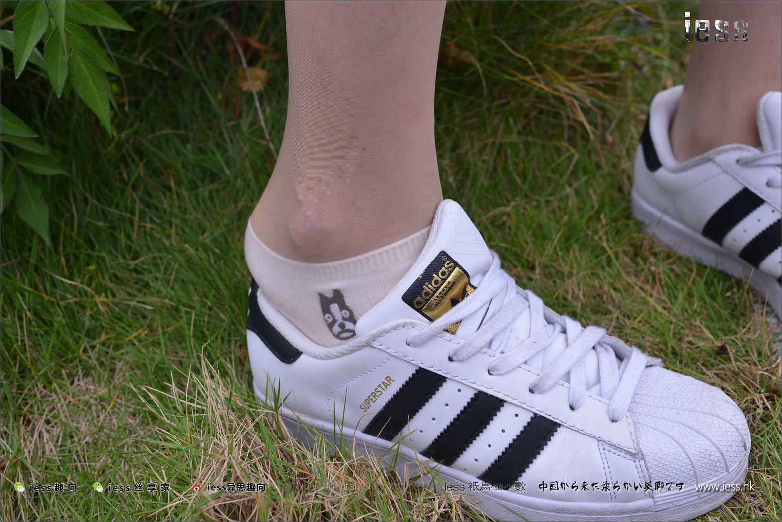 图片[86]-[IESS异思趣向] 2017.11.29 丝足便当172：《丝袜棉袜贝壳头》双十一特辑 圆叔叔 在线浏览 – 速更版-美库