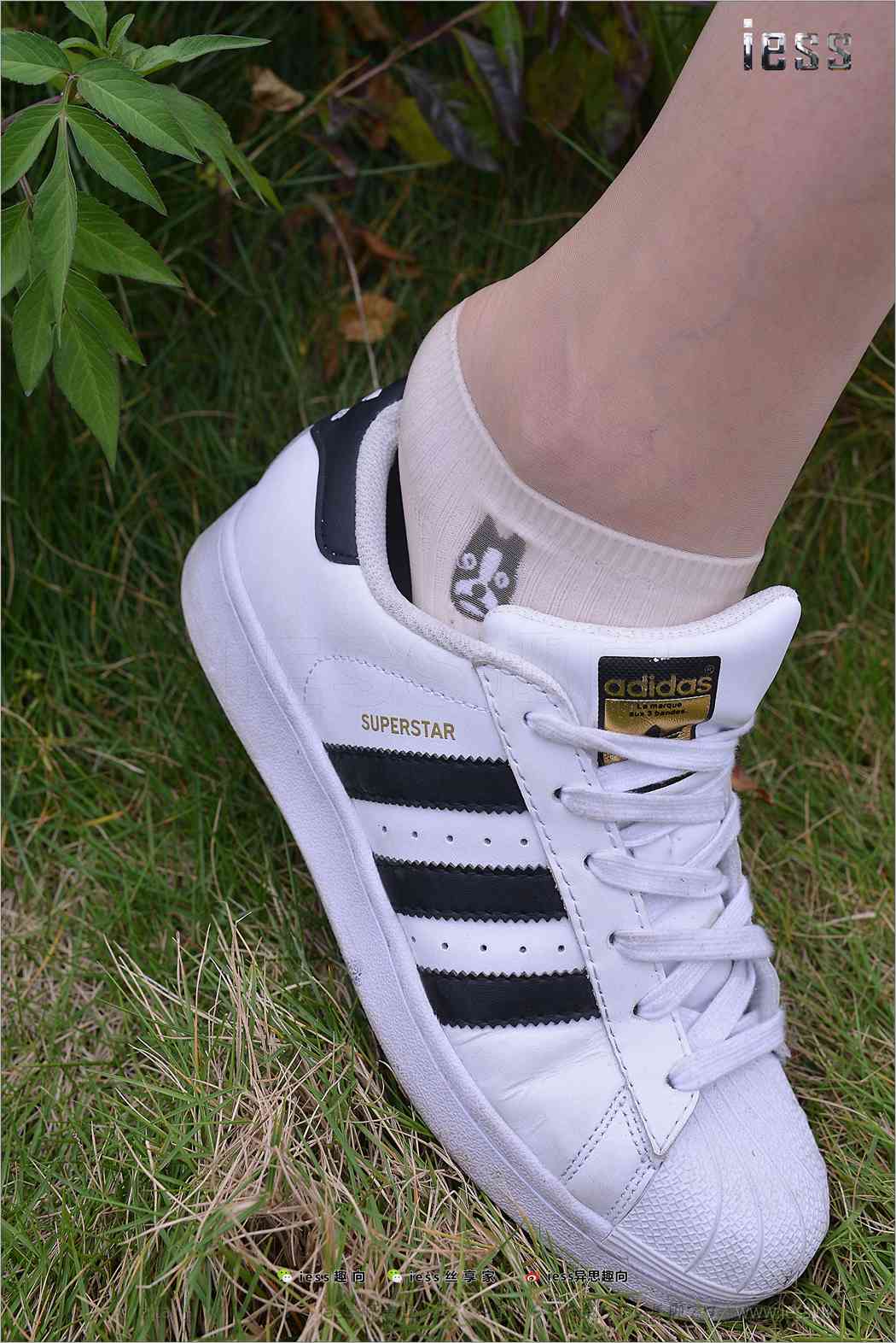 图片[23]-[IESS异思趣向] 2017.11.29 丝足便当172：《丝袜棉袜贝壳头》双十一特辑 圆叔叔 在线浏览 – 速更版-美库