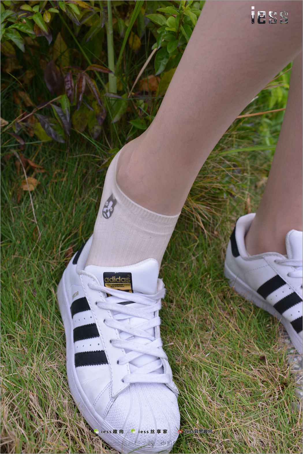 图片[35]-[IESS异思趣向] 2017.11.29 丝足便当172：《丝袜棉袜贝壳头》双十一特辑 圆叔叔 在线浏览 – 速更版-美库