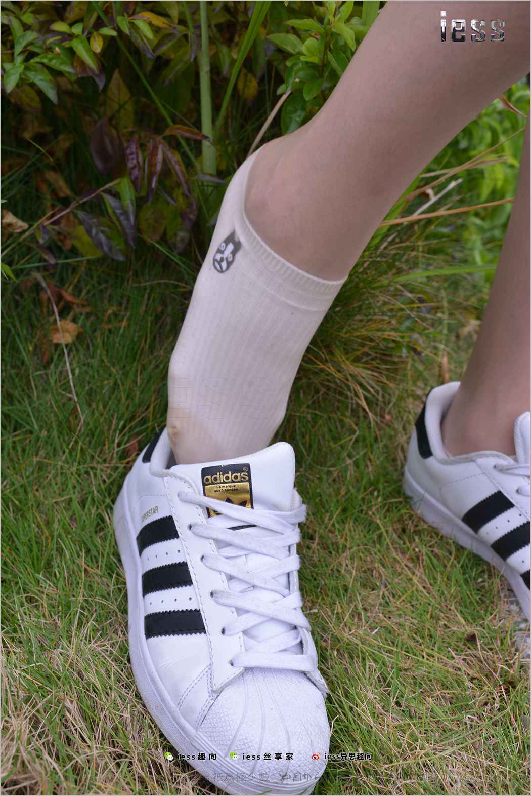 图片[93]-[IESS异思趣向] 2017.11.29 丝足便当172：《丝袜棉袜贝壳头》双十一特辑 圆叔叔 在线浏览 – 速更版-美库