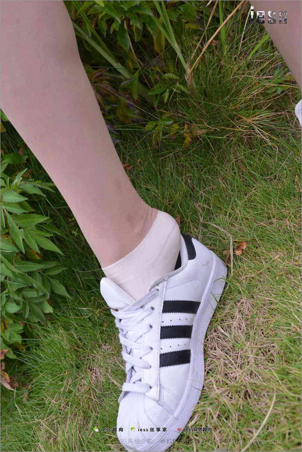 图片[70]-[IESS异思趣向] 2017.11.29 丝足便当172：《丝袜棉袜贝壳头》双十一特辑 圆叔叔 在线浏览 – 速更版-美库