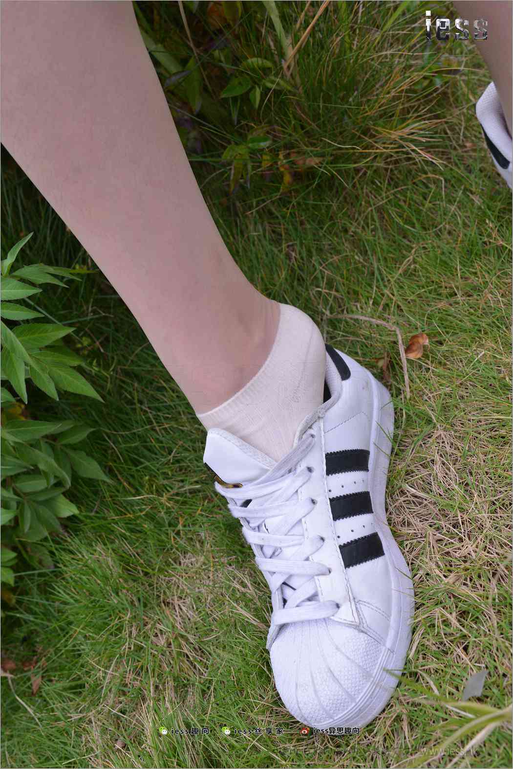 图片[31]-[IESS异思趣向] 2017.11.29 丝足便当172：《丝袜棉袜贝壳头》双十一特辑 圆叔叔 在线浏览 – 速更版-美库