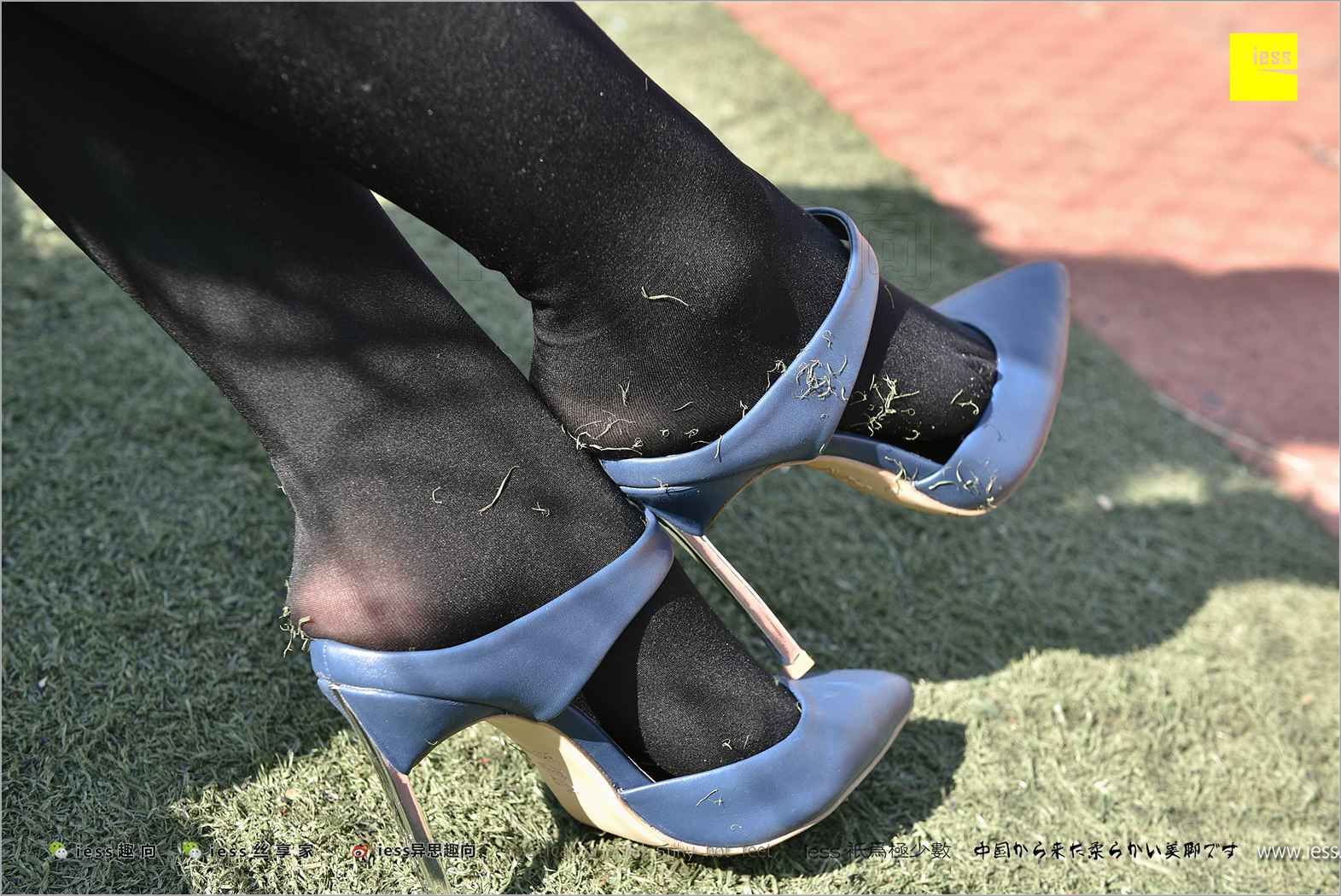 图片[27]-[IESS异思趣向] 2017.12.25 丝足便当182：《厚黑丝的“透肉”诱惑》静静 在线浏览 – 速更版-美库