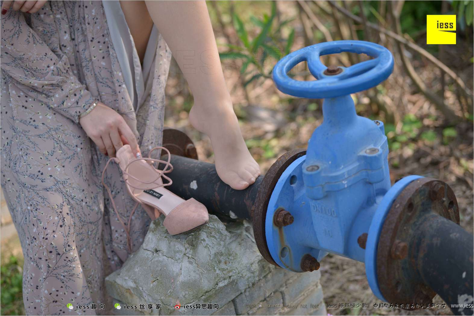 图片[98]-[IESS异思趣向] 2018.04.11 丝足便当215：《足鉴》馨月 在线浏览 – 速更版-美库