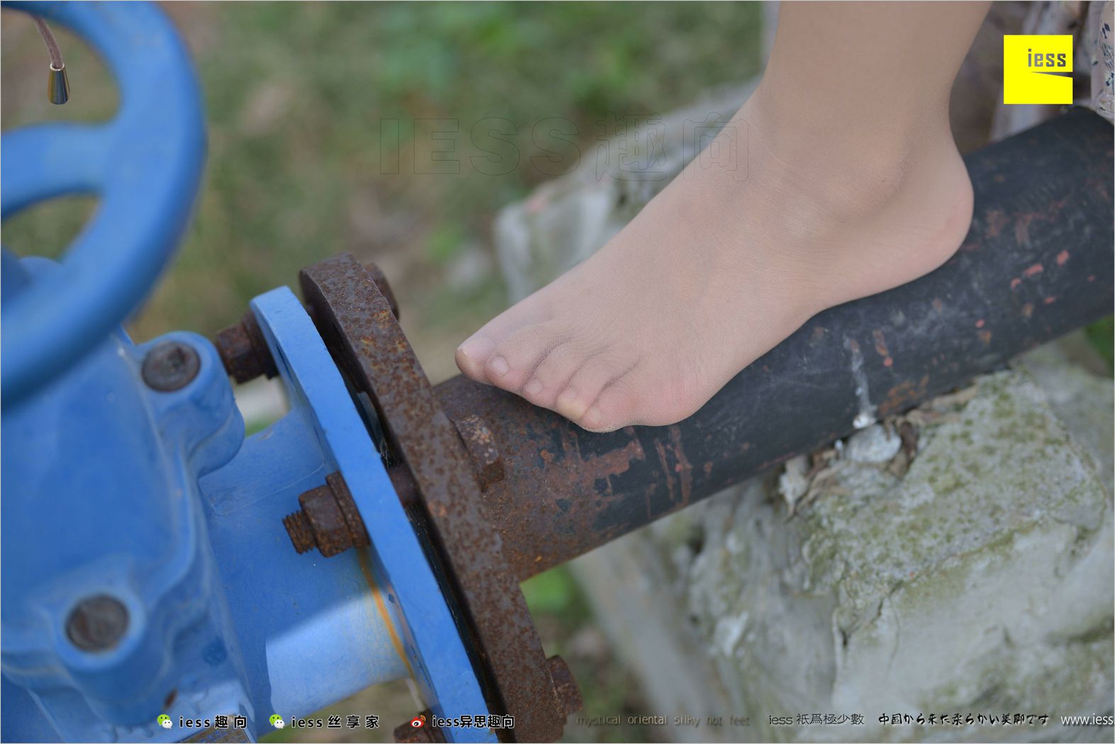 图片[31]-[IESS异思趣向] 2018.04.11 丝足便当215：《足鉴》馨月 在线浏览 – 速更版-美库