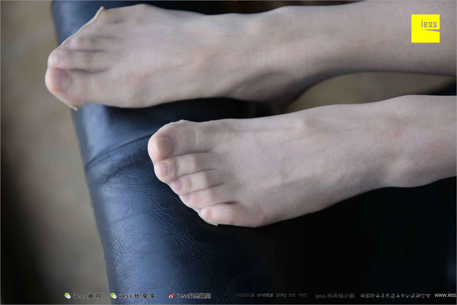 图片[82]-[IESS异思趣向] 2018.04.14 丝足便当217：《长丝和10片天然粉红的花瓣》春春 在线浏览 – 速更版-美库